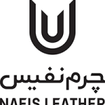 الهام حسینی